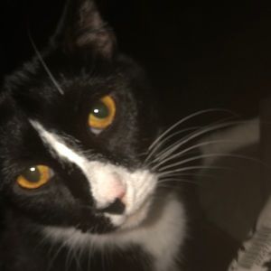 Meet your Posher, Carol